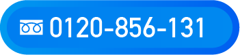 0120-856-131