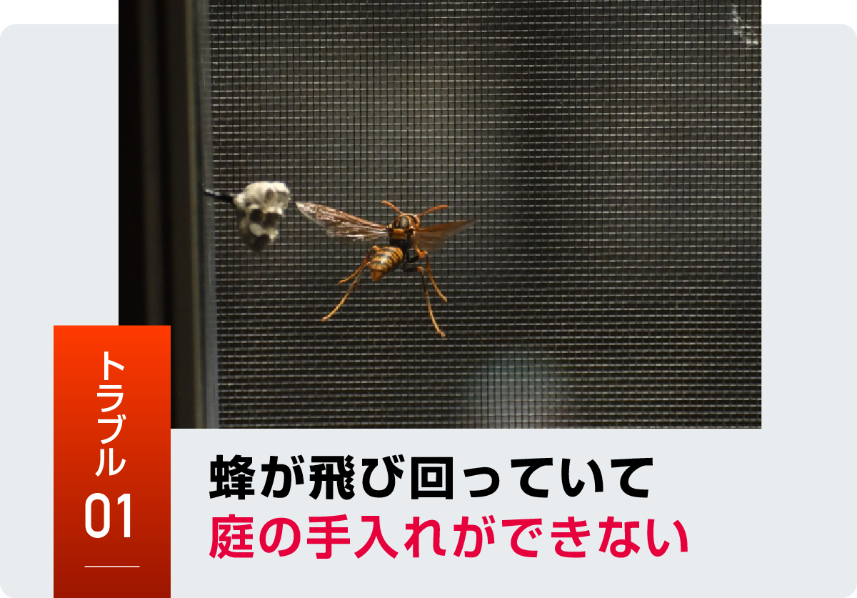 トラブル1 蜂が飛び回っていて庭の手入れができない