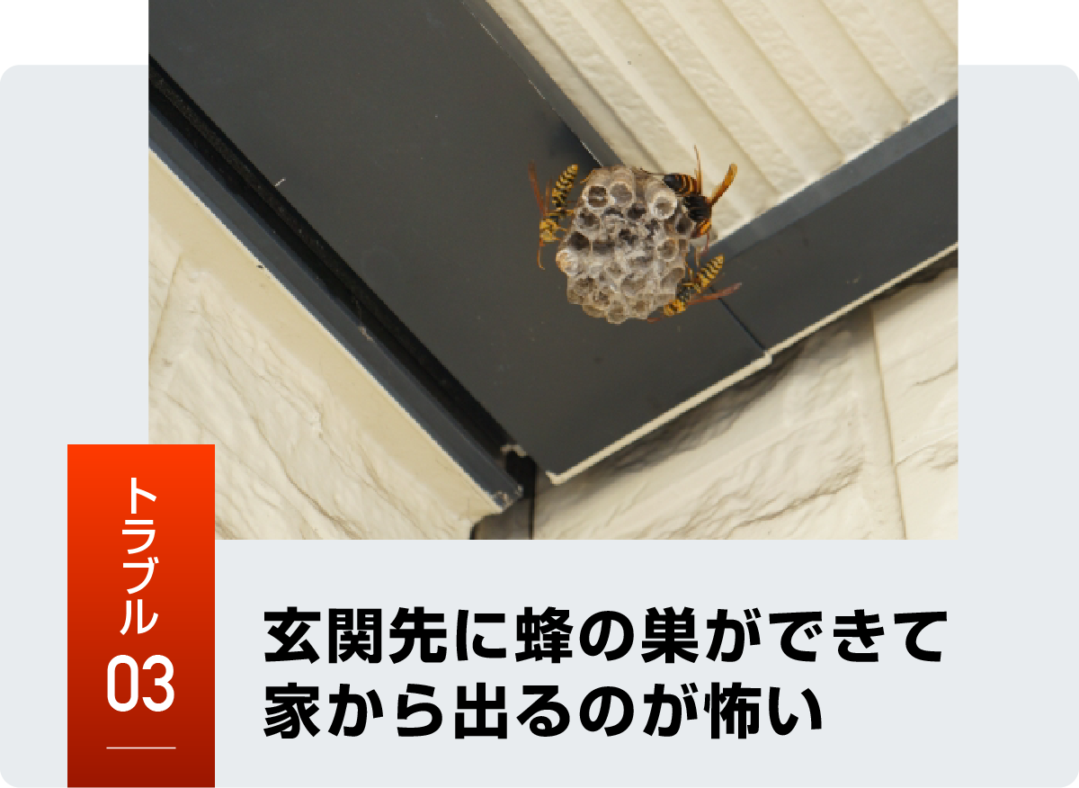 トラブル3 玄関先に蜂の巣ができて家から出るのが怖い