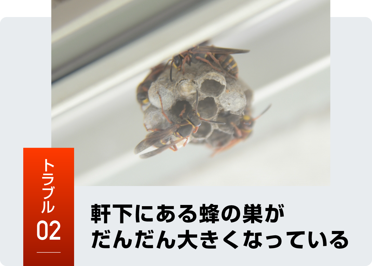トラブル2 軒下にある蜂の巣がだんだん大きくなっている